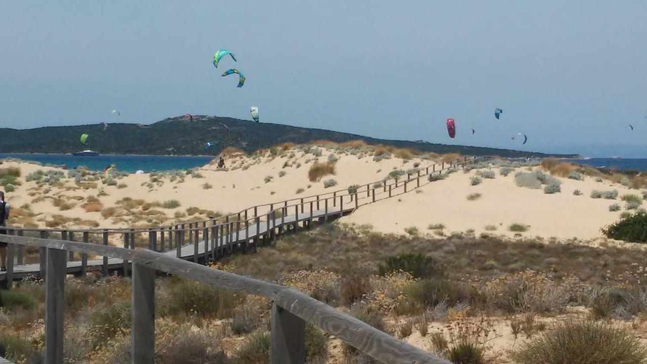 Casa A 10M Dal Mare Daire Palau Dış mekan fotoğraf